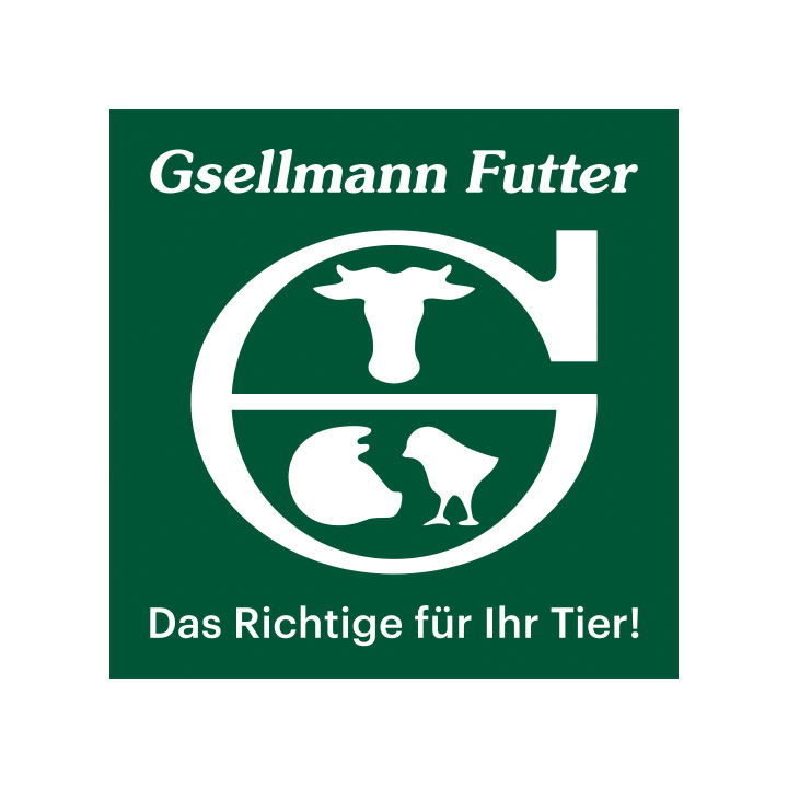Gsellmann
