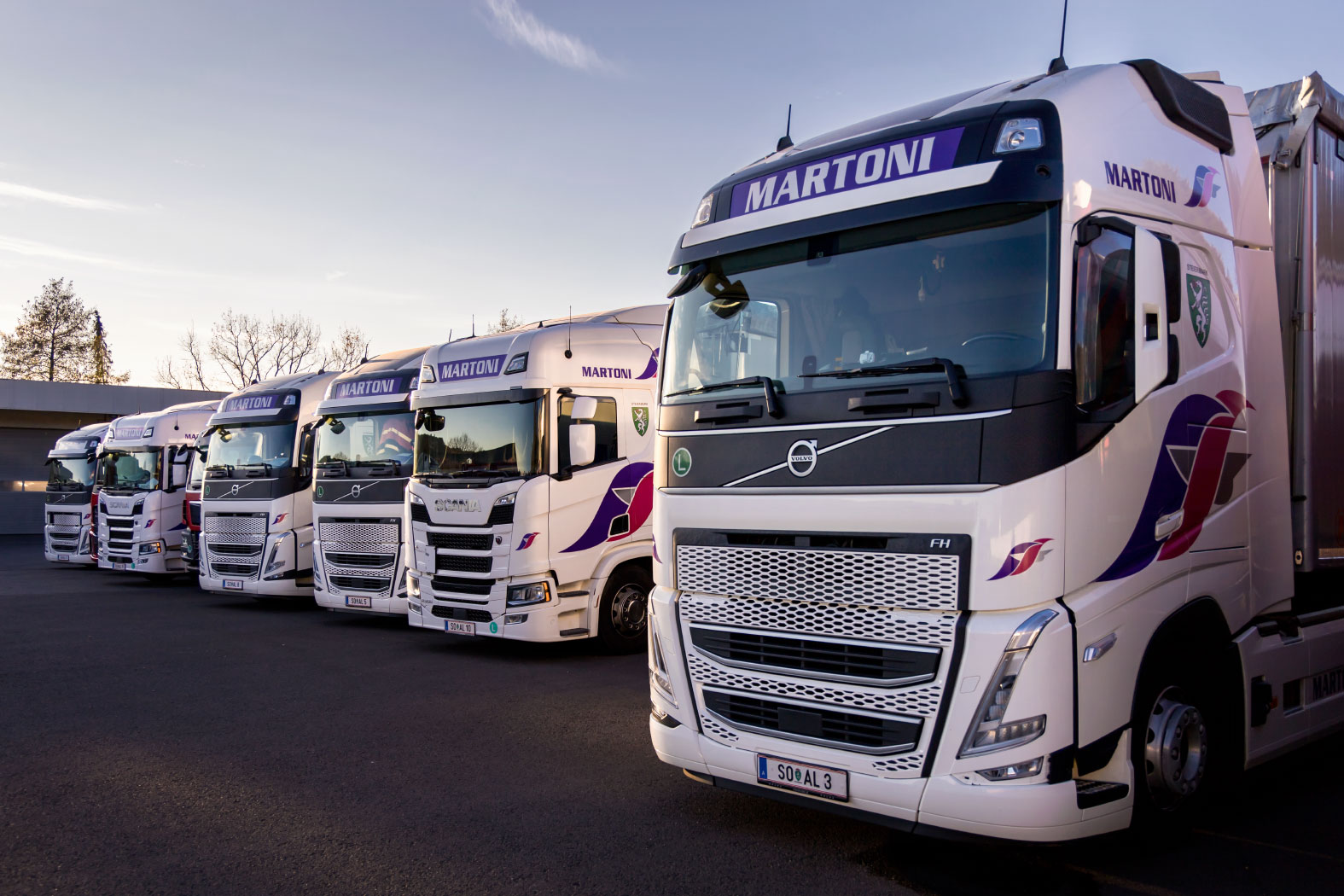 martoni lkw-transporte transportunternehmen sch&uuml;ttguttransporte massenguttransporte spedition logistik gnas steiermark &ouml;sterreich europa